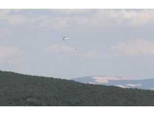 Orman yangınına müdahale sürüyor