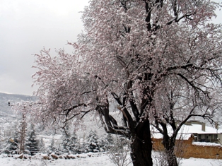 Bozkır'da kar tatili uzatıldı