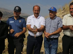 Halkapınar'da doğaya 500 keklik salındı