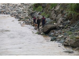 Rize’de sele kapılan Hüseyin Çapoğlu’nu aramaya, Fındıklı’nın kahramanı ’Kır’ ile devam ediliyor