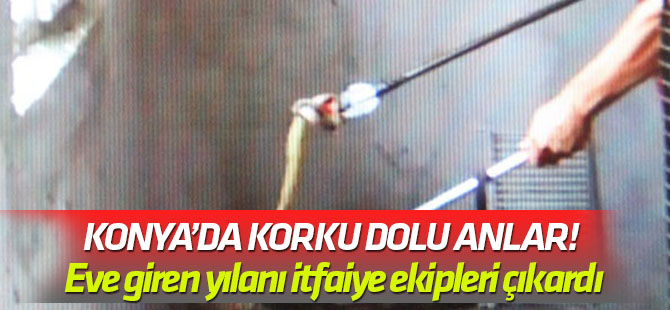 Konya’da korku dolu anlar! Eve giren yılanı itfaiye ekipleri çıkardı