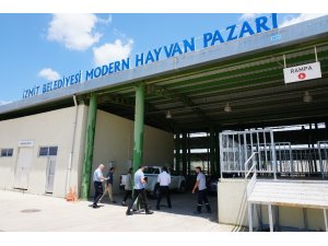 İzmit’te köylülere özel hayvan satış alanı