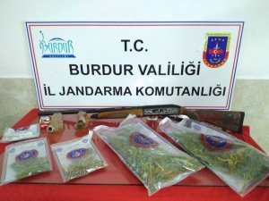Burdur’da kaçak kenevir ekimi yapan 2 kişi yakalandı