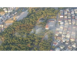 İzmir’de yerleşim yerlerine yakın alanda korkutan orman yangını
