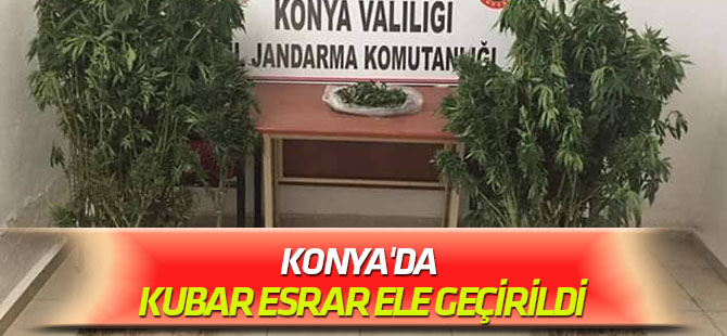 Konya'da kubar esrar ele geçirildi