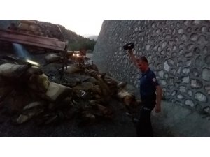 Ay çekirdeği yüklü kamyon yandı