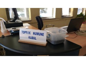 Keşan’da yılın ilk ayçiçeği 5.06 TL’den alıcı buldu