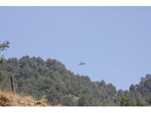 Kahramanmaraş’ta orman yangını