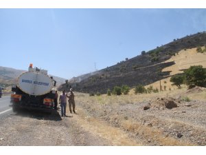 Elazığ’da  orman yangını