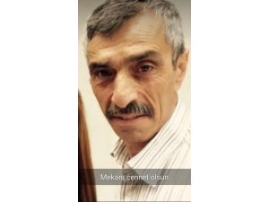 Tomruk çarpan orman işçisi hayatını kaybetti