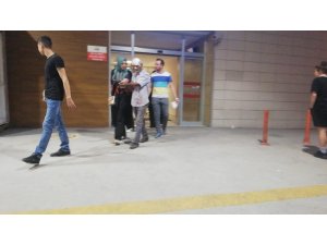 Şeftali toplarken ağaçtan düştü