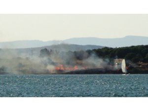 Bilinçsiz mangal yakımı az kalsın ormanı yakıyordu