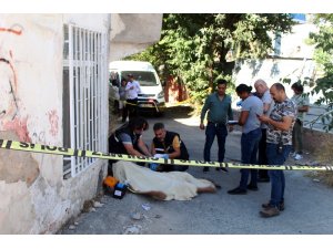 Ölüm sokakta yakaladı