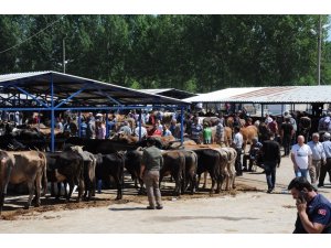 Simav’da kurban pazarı açıldı