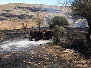 Üzüm ve badem bahçeleri küle döndü