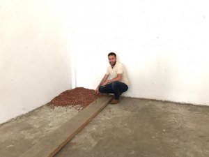 Yılın ilk fındığı tüccara indi