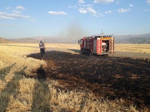 Bingöl’de anız yangını