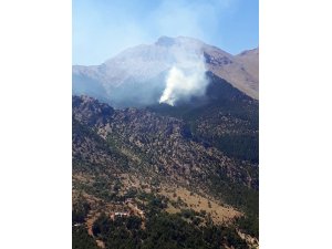 Adana’da orman yangını