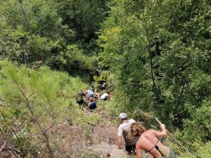 1 turistin öldüğü, 10 turistin yaralandığı kazanın sürücüsü tutuklandı