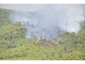 Milas Tuzabat’ta sabah kontrol altına alınan yangın tekrar tekrar başladı