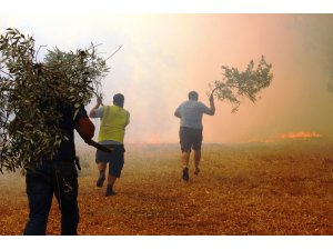 Bodrum’daki orman yangını tehlikeli boyuta ulaştı