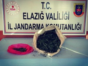 Jandarma ekipleri, uyuşturucu tacirini 2 kilo esrarla  yakaladı