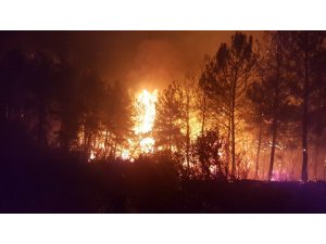 Antalya’da orman yangını