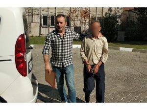 121 kök dişi Hint keneviri bitkisi ile yakalandı