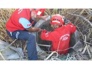 Burhaniye’de kuyuya düşen yavru köpeği itfaiye kurardı