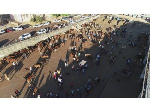 Diyarbakır’da kurbanlık hareketliliği başladı