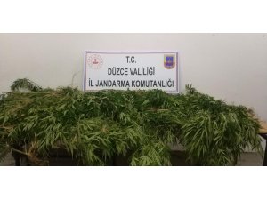 Jandarma zehir tacirlerine geçit yok