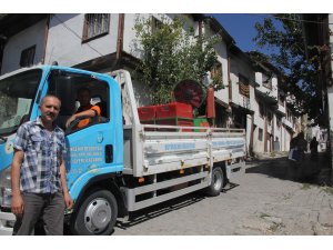 Beypazarı'nda ilaçlama çalışmaları