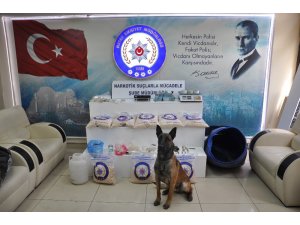 Toprağa gömülü uyuşturucuyu "Rüzgar" buldu