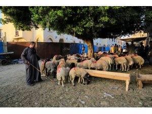 Mısırlılar neden az kurban kesiyor?