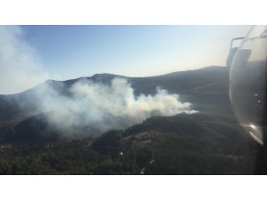 GÜNCELLEME - Muğla'da orman yangını