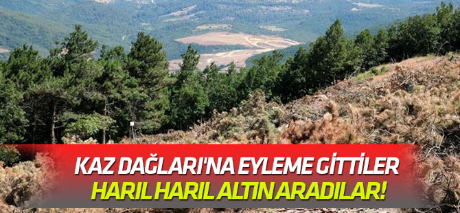 Kaz Dağları'na eyleme gittiler harıl harıl altın aradılar!