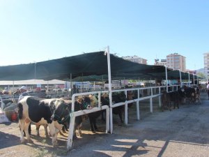 Seydişehir Belediyesi Kurban Bayramına hazır
