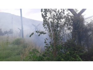 Samandağ’da bitki örtüsü yangını