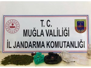 Jandarmadan uyuşturucu partisine baskın