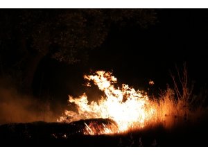 Havai fişekler yangına sebep oldu