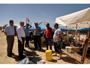 Karaman Valisi Meral, kurban pazarını gezdi