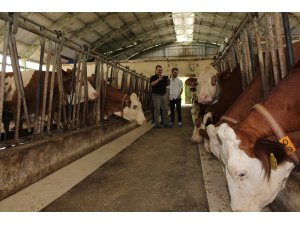 AB Bilginin desteklediği hayvancılık tesislerine ziyaret