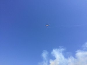 Ödemiş’te orman yangını