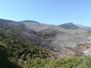 Afyonkarahisar'daki orman yangını