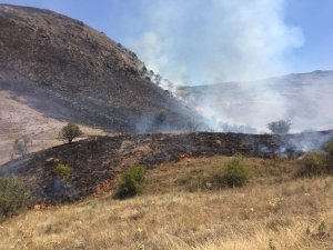 Sivas’ta örtü yangını