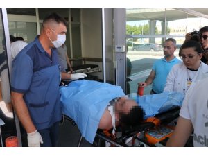 Kurban kesen vatandaşı arı soktu