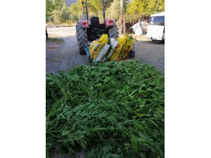 Dalaman’da uyuşturucu operasyonu