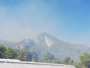 GÜNCELLEME - Antalya'da orman yangını