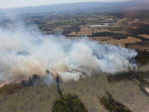 Balıkesir’de orman yangını