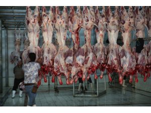 DÜZELTME - "Türk Kızılay Irak'ta bin 50 aileye kurban eti ulaştıracak" başlıklı haberimizin başlık, birinci ve üçüncü paragraflarında yer alan "bin 50" ifadesi, "10 bin 500" şeklinde düzelt